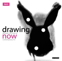 Cover image: Drawing Now 1st edition 9781845115333