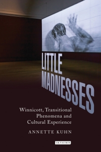 Omslagafbeelding: Little Madnesses 1st edition 9781780761619
