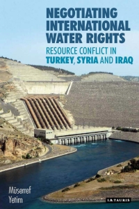 Cover image: Negotiating International Water Rights 1st edition 9781784535520