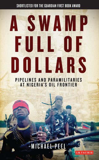 Cover image: A Swamp Full of Dollars 1st edition 9781848858404