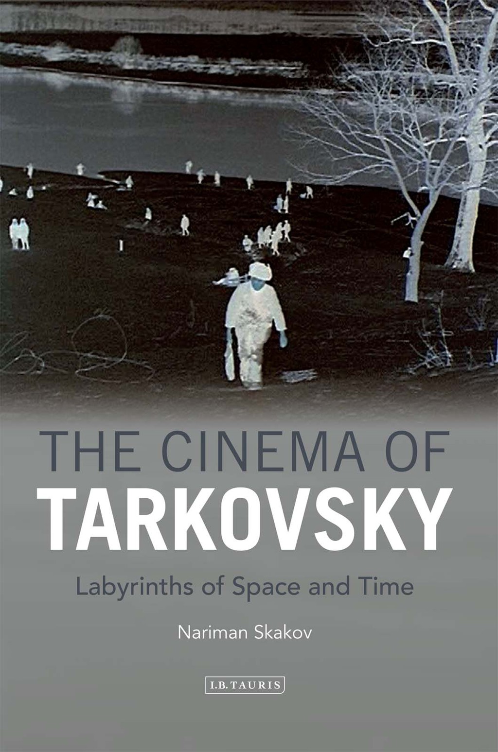 The Cinema of Tarkovsky Labyrinths of Space and Time 1st Edition