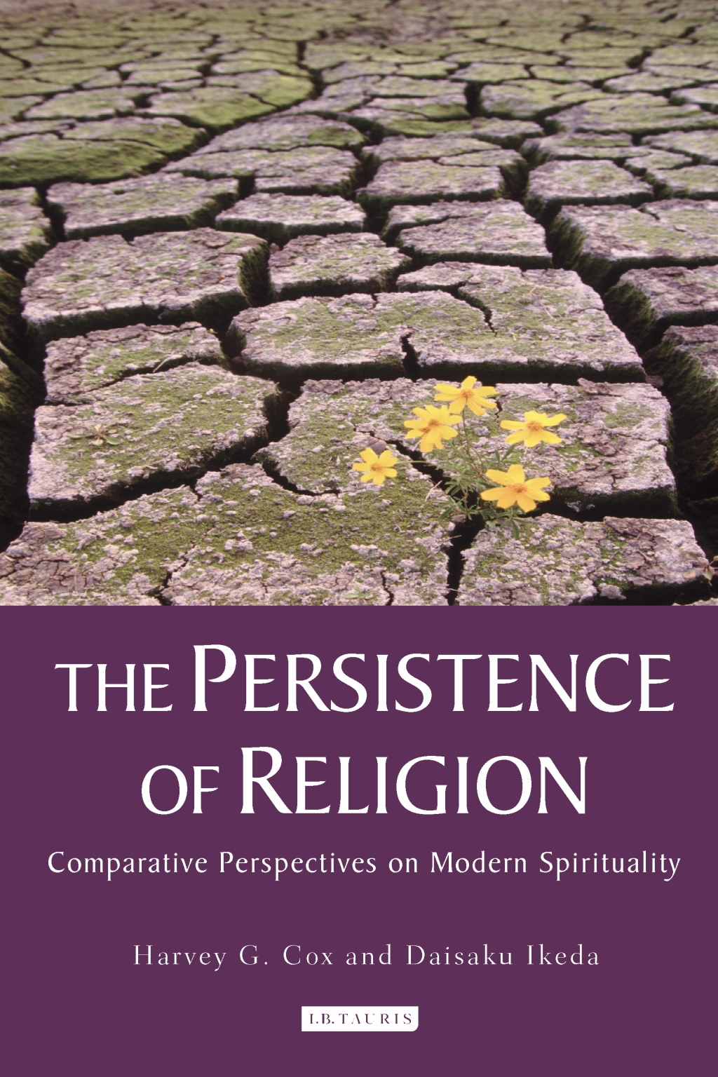 The Persistence of Religion Comparative Perspectives on Modern Spirituality 1st Edition