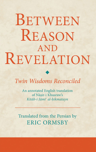 Imagen de portada: Between Reason and Revelation 1st edition 9781780761329