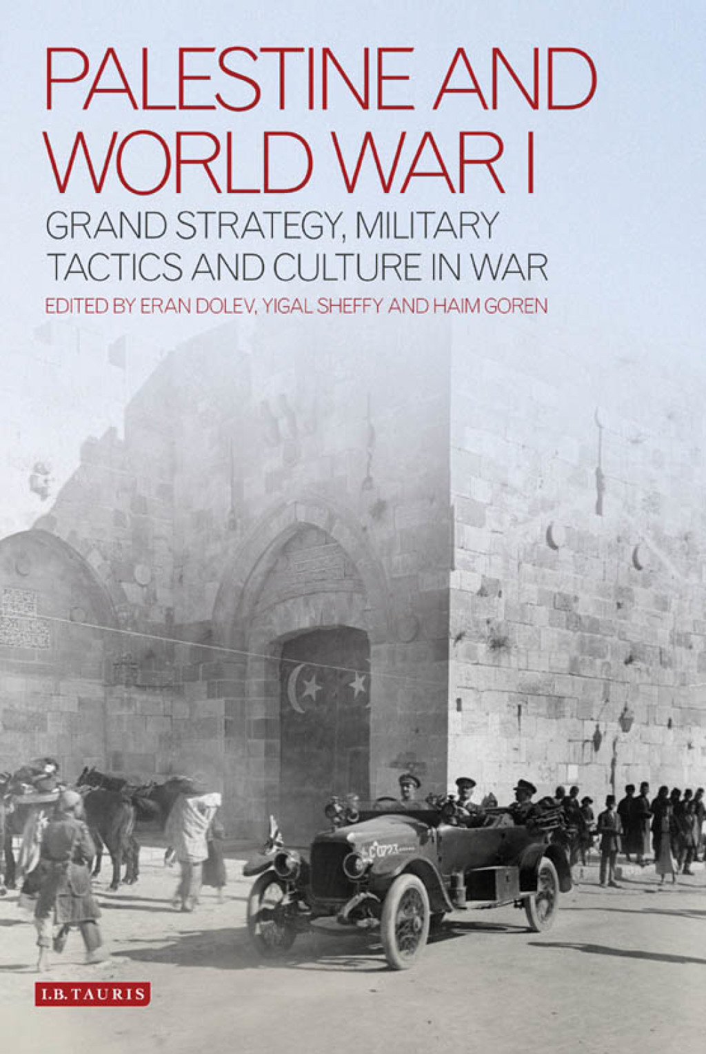Palestine and World War I Grand Strategy, Military Tactics and Culture in War 1st Edition