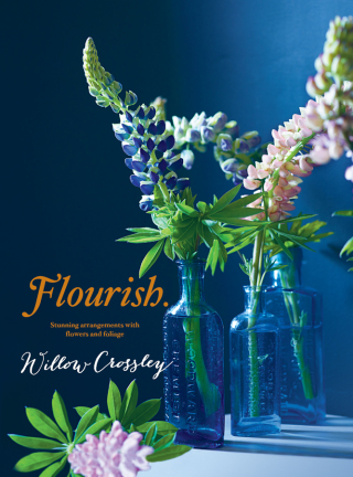 Cover image: Flourish 9780857833181