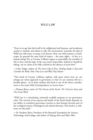 Cover image: Wild Law 2nd edition 9781900322904