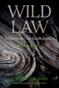 Cover image: Wild Law 2nd edition 9781900322904