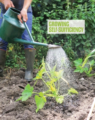Imagen de portada: Growing Self-Sufficiency 1st edition 9780857843173
