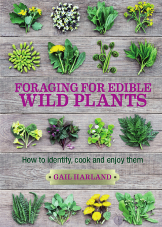Omslagafbeelding: Foraging for Edible Wild Plants 2nd edition 9780857845511