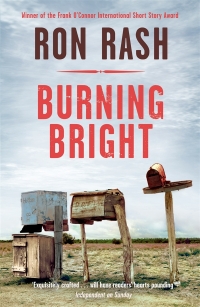 Cover image: Burning Bright 9780857861153
