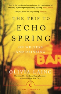 Cover image: The Trip to Echo Spring 9781786891600