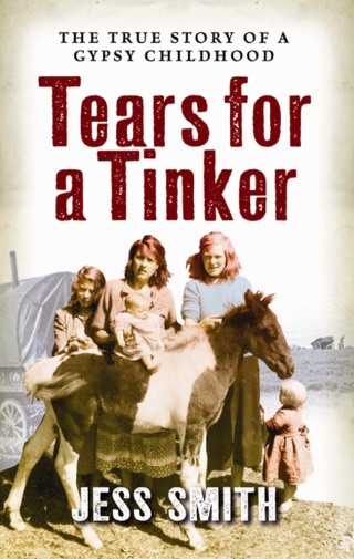 Imagen de portada: Tears for a Tinker 9781841587141