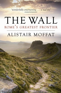 Cover image: The Wall 9781780274553