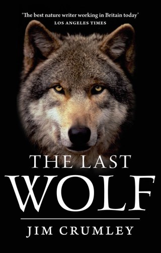Cover image: The Last Wolf 9781841588476