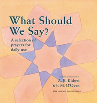Cover image: What Should We Say? 9780860372677