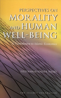 صورة الغلاف: Perspectives on Morality and Human Well-Being 9780860373872
