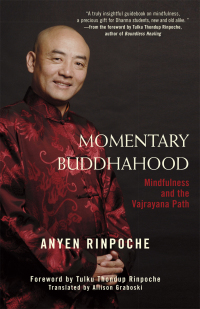 Cover image: Momentary Buddhahood 9780861715985