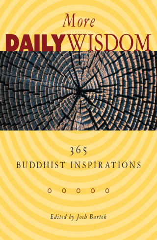 Cover image: More Daily Wisdom 9780861712960