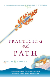 Cover image: Practicing the Path 9780861713462