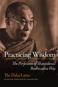 Cover image: Practicing Wisdom 9780861711826