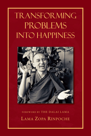 Cover image: Transforming Problems into Happiness 9780861711949
