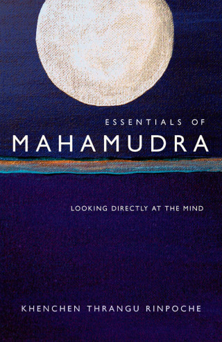 Cover image: Essentials of Mahamudra 9780861713714
