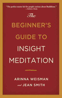 Cover image: The Beginner's Guide to Insight Meditation 9780861716715