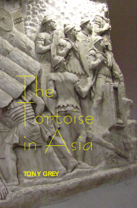 Omslagafbeelding: The Tortoise in Asia 9780861967254