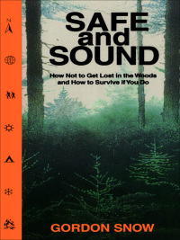 Cover image: Safe and Sound 9780864922229