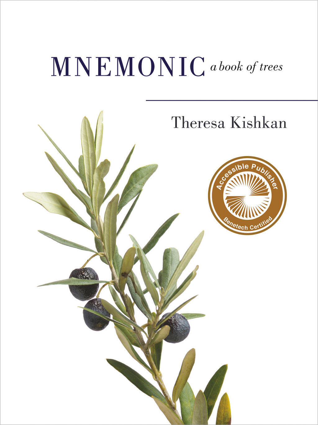 Mnemonic (eBook)