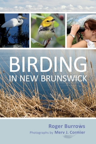 Cover image: Birding in New Brunswick 9780864926180
