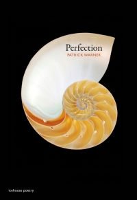Cover image: Perfection 9780864926838