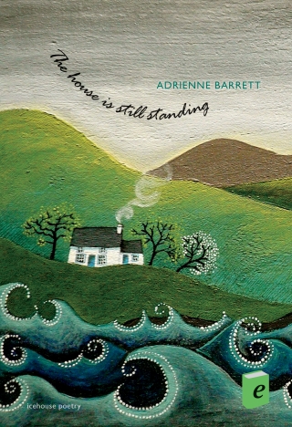 Cover image: The house is still standing 9780864929044