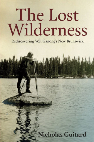 Cover image: The Lost Wilderness 9780864928771