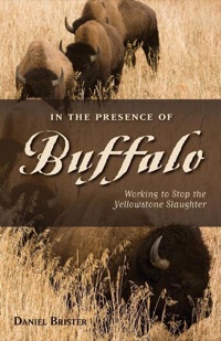 Cover image: In the Presence of Buffalo 1st edition 9780871089595