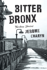 表紙画像: Bitter Bronx: Thirteen Stories 9780871404893