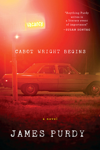 صورة الغلاف: Cabot Wright Begins: A Novel 9780871403520