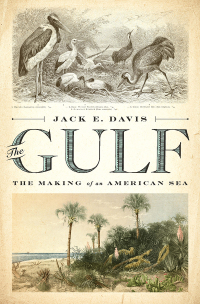 Titelbild: The Gulf: The Making of An American Sea 9781631494024