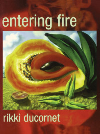 Cover image: Entering Fire 9780872863552