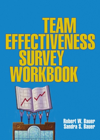 Imagen de portada: The Team Effectiveness Survey Workbook 9780873896726