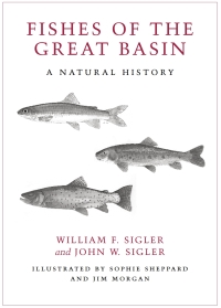 صورة الغلاف: Fishes of the Great Basin 9780874176940