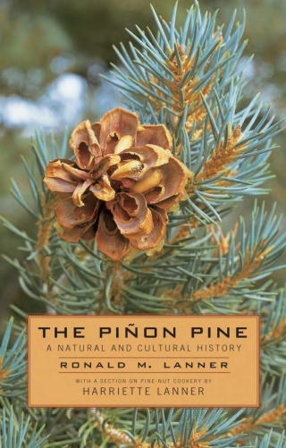 Cover image: The Pinon Pine 9780874170665