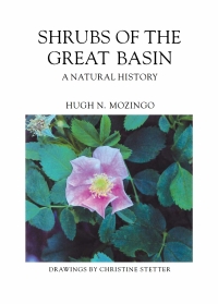 Imagen de portada: Shrubs Of The Great Basin 9780874171129