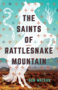 Cover image: The Saints of Rattlesnake Mountain 9781943859726