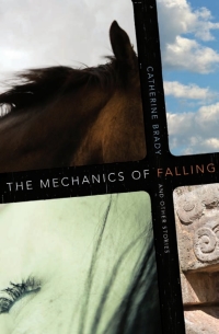 Cover image: The Mechanics of Falling and Other Stories 9780874177633