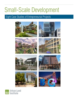 Cover image: Small-Scale Development: Eight Case Studies of Entrepreneurial Projects 1st edition 9780874203806