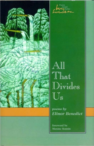 Imagen de portada: All That Divides Us 9780874214062