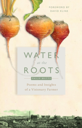 Cover image: Water at the Roots 9780874861280