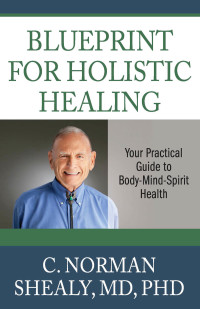 Titelbild: Blueprint for Holistic Healing 9780876048092
