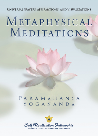Cover image: Metaphysical Meditations 9780876120477